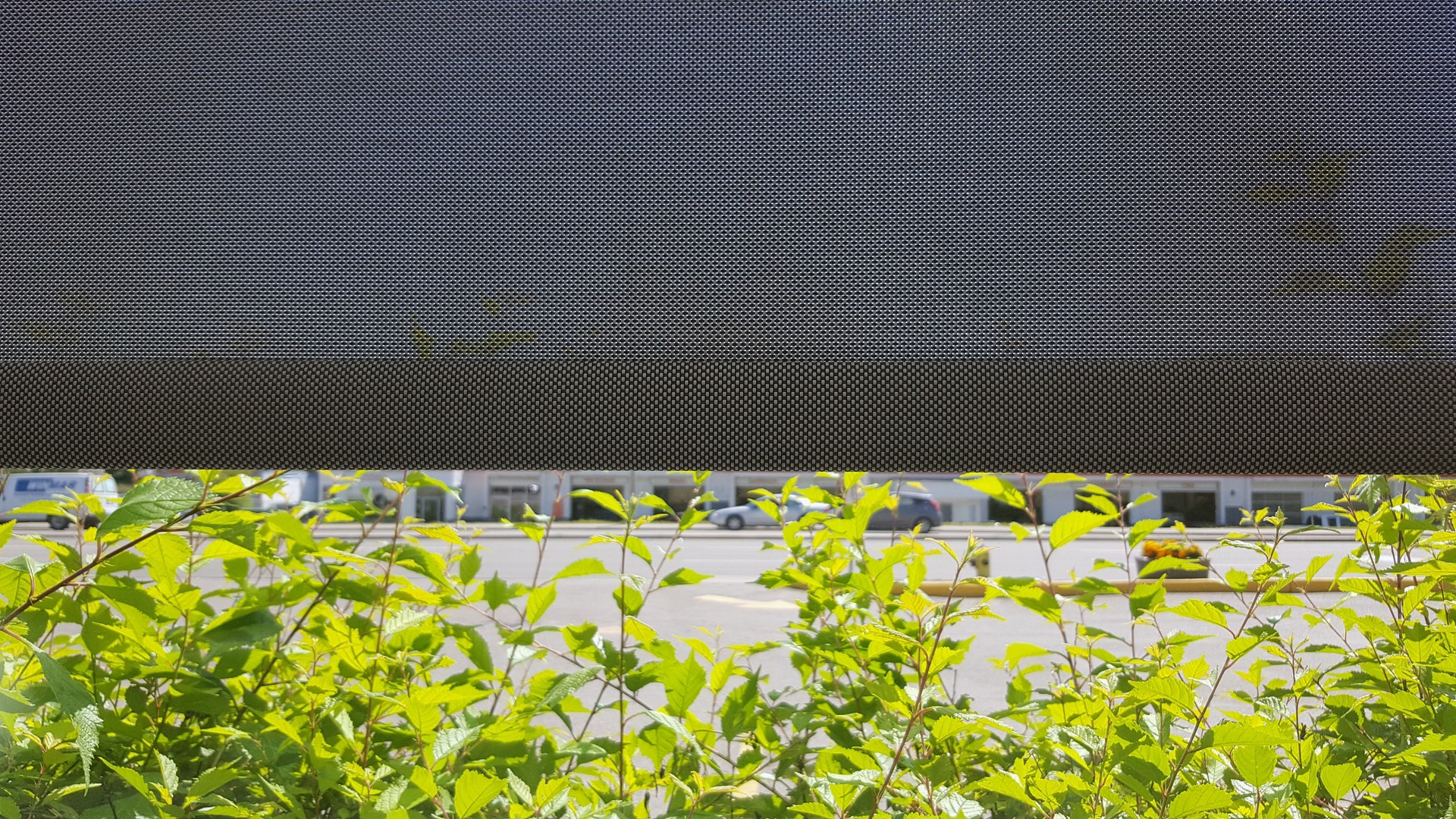 The Perfect Window Screen To Block Heat And Bring Shade